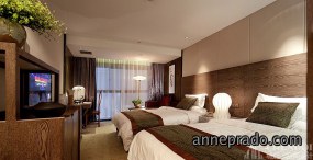 宾馆装饰案例图,宾馆装饰图片